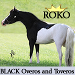 ROKO