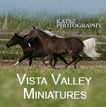 VistaValleyMiniaturesBCCanada150