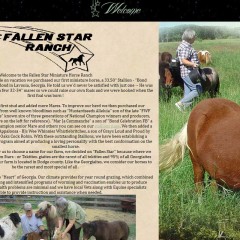 Fallen Star Ranch